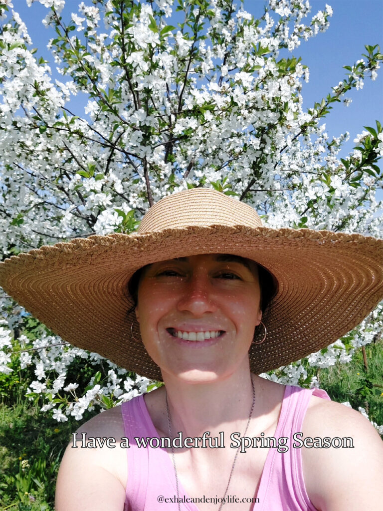 Spring Trees In Bloom